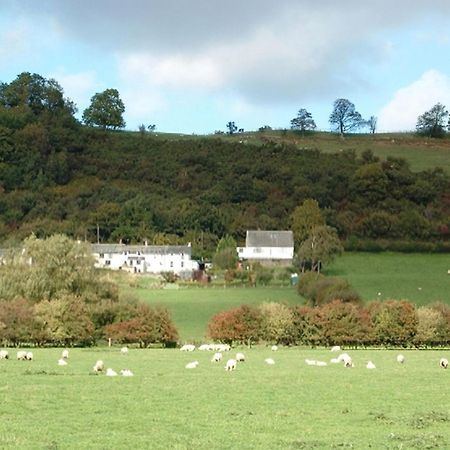 Osprey Cottage Bassenthwaite Exterior foto